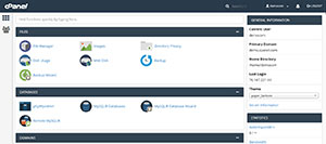 Panel control cPanel BlumHost